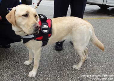 Reading Fire Department Arson Dog