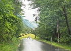 Proctorsville Crews Respond to Tree Fire on Power Lines