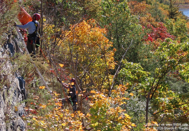 A high angle rescue safely recovered a male subject from the steep Hawks Nest cliff below this month.