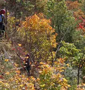 A high angle rescue safely recovered a male subject from the steep Hawks Nest cliff below this month.