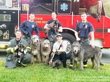 Quick response saves residence and 6 dogs from home in Inverness
