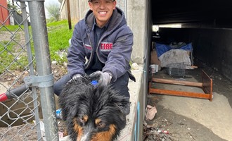 Crews Rescue Dog after being Swept Away into Storm Drain