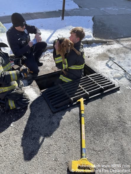 Stratford Firefighters Rescue Dog Trapped in Storm Drain