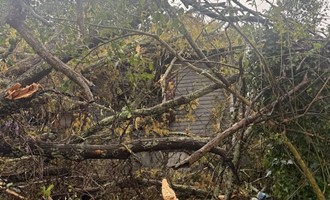Fallen Tree Damages Residence on Irwinton Road, No Injuries Reported