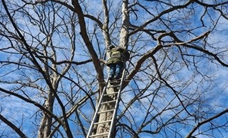 going above and beyond