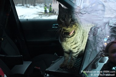 Pets Rescued From House Fire In Mansfield NJ