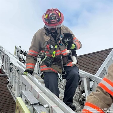 Lewiston Firefighters Rescue Stranded Cat from Rooftop
