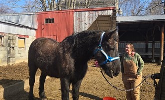 Coordinated Rescue Effort Safely Reunites Stranded Animal with Safety