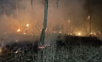 Quick Response Contains Wildland Fire Near Celebration Pointe