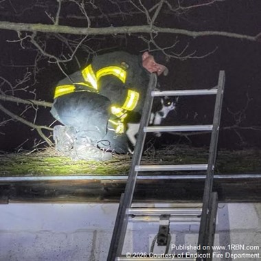Endicott Crews Respond to Animal Rescue Incident