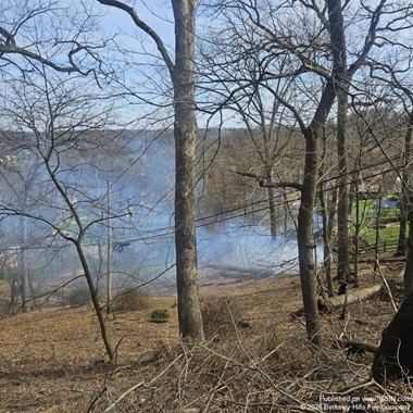 Berkeley Hills Volunteers Respond to Surge of 67 Weekly Incidents