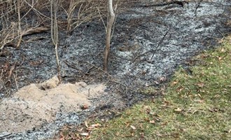 WVFD Responds to Mutual Aid Brush Fire in Genesee