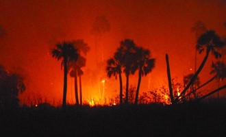 150 Acres burn in Hernando Beach