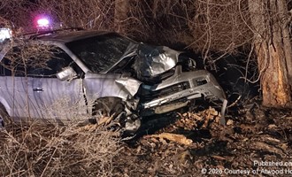 Atwood Hose Crews Handle Late-Night MV vs. Tree Call