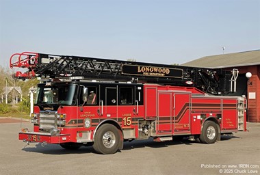Longwood Ladder 15