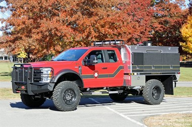 Pelham Forestry 1