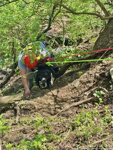 Dog and Owner Rescued from Embankment in Blandon