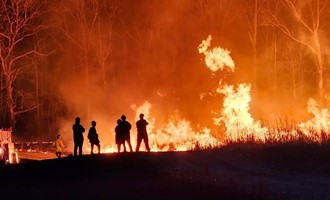Multi-Department Controlled Burn Provides Realistic Wildland Training Opportunity