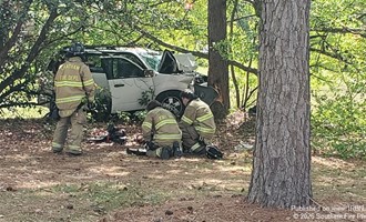 Car vs tree  mvc proves fatal