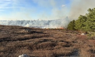 Wind-Driven Field Burn Escapes Control, Crews Contain Spread at Wood Line