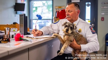 Lake County Chief Adopts Schnauzer