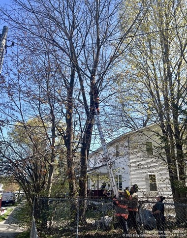 Firefighters Rescue Stranded Cat from 30-Foot Tree After Days Aloft