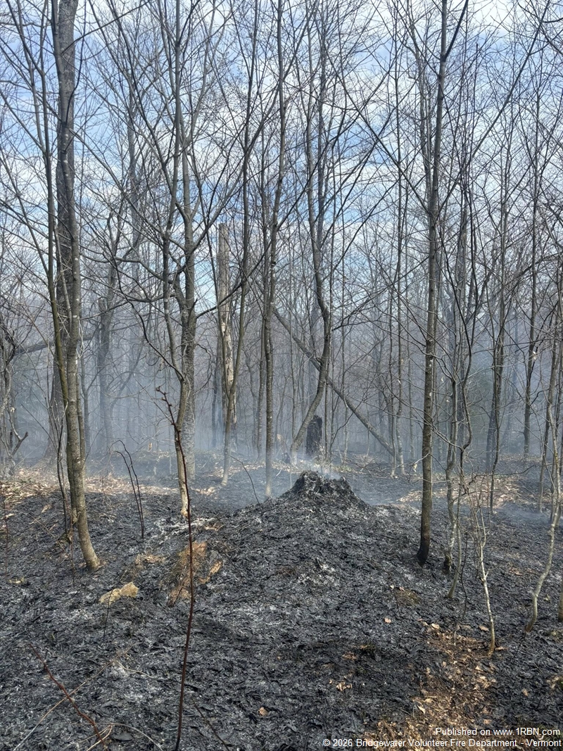Multi-Alarm Brush Fire Burns Several Acres in Killington Area