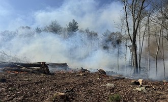 Crews Contain Fast-Moving Brush Fire Amid Challenging Conditions