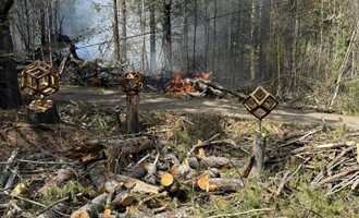 Downed Power Line Sparks Brush Fire in Newfane