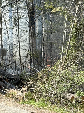 story image