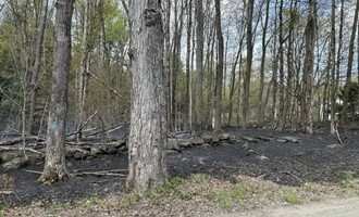 Mutual Aid Response Sent to Ashfield Brush Fire