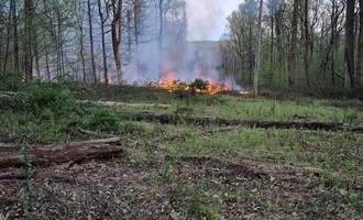 Multiple Departments Contain Berks County Brush Fire
