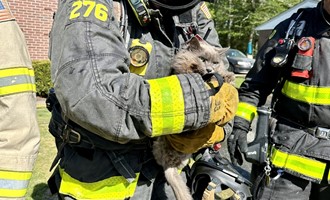 Cat Rescued from Rockland House Fire