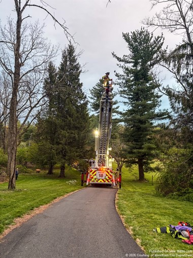 Mutual Aid Crews Handle Tree Rescue Incident