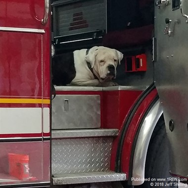 Exeter Township Fire Department Mascot "Hank"