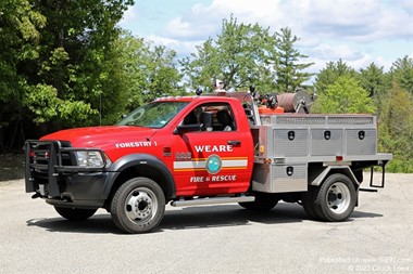Weare Forestry 1