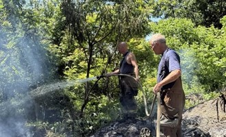 Squad 41 and Brush 44 Extinguish Small Brush Fire