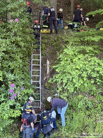 story image