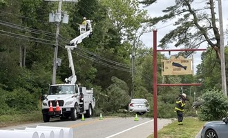 Driver Escapes Injury After Tree Falls Onto Occupied Vehicle