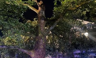 Wyckoff Firefighters Respond to Storm-Damaged Home on Patton Place