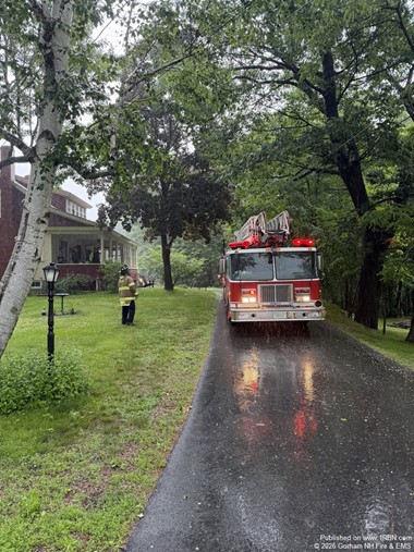 Mutual Aid Response Assists Wildlife Search in Elevated Tree