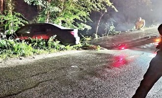 Driver Uninjured After Vehicle Leaves Roadway on Walker Road