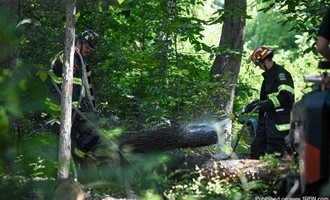 Tree Fire on Game Farm Rd