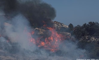 Crews Extinguish Brush Fire in Del mar