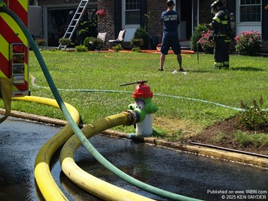 A painted Philadelphia Philles Phanatic hydrant