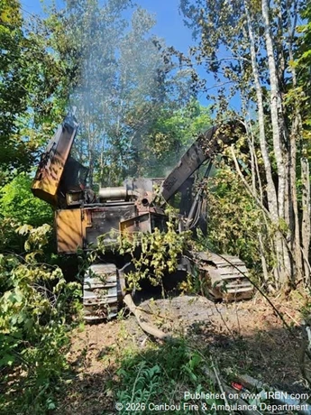 story image