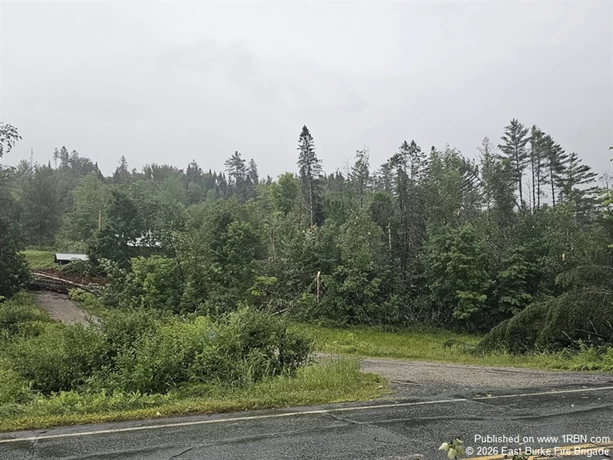 story image