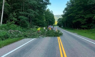 Crews Restore Access After Tree Blocks Route 248