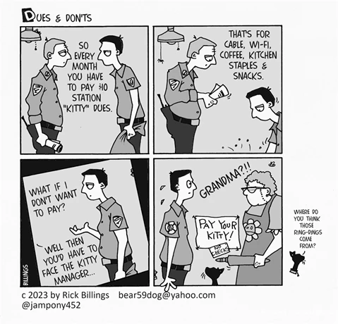 story image