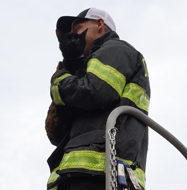 Firefighters Rescue Cat Stuck in Tree